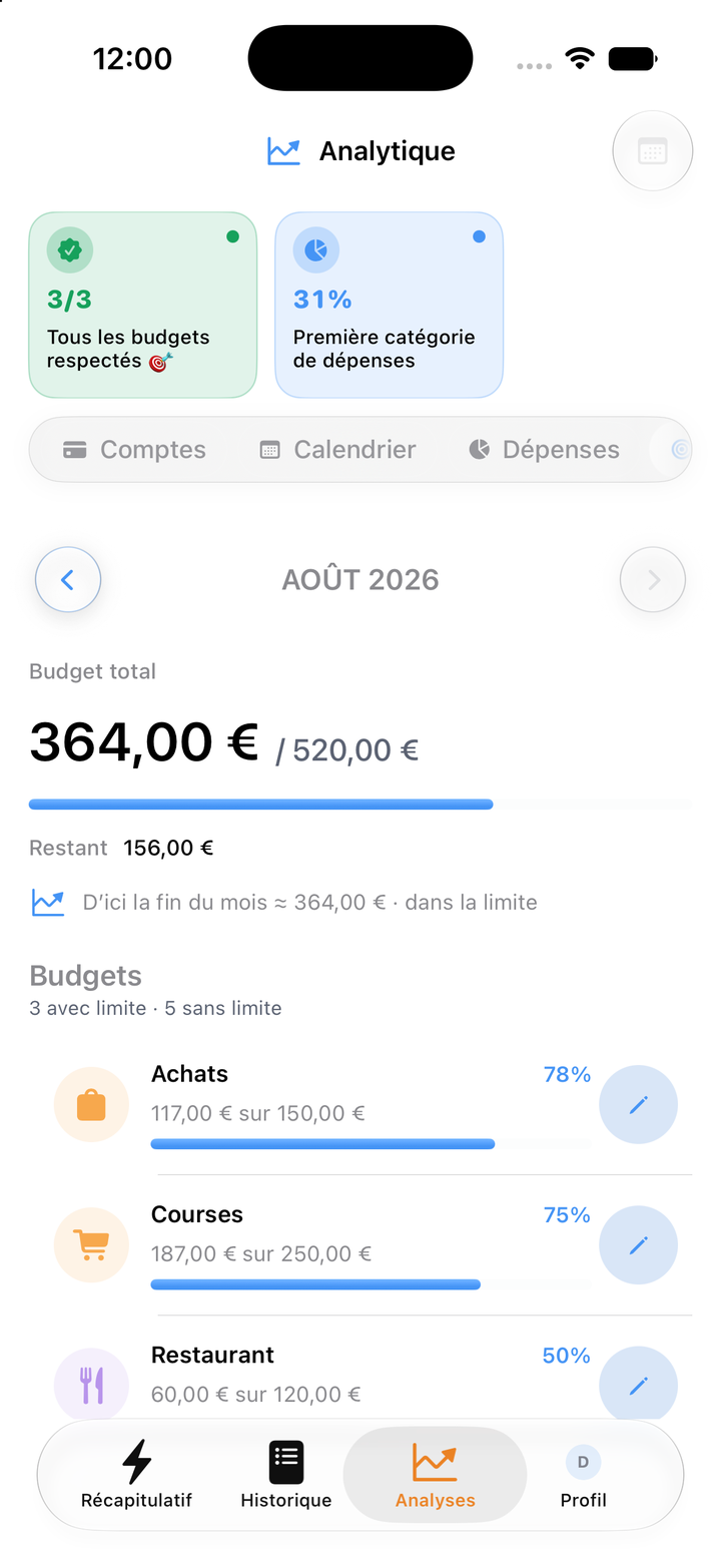 Budgets par catégorie et leurs limites